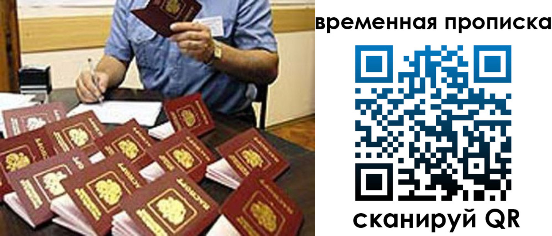 прописка для школы в Ростове